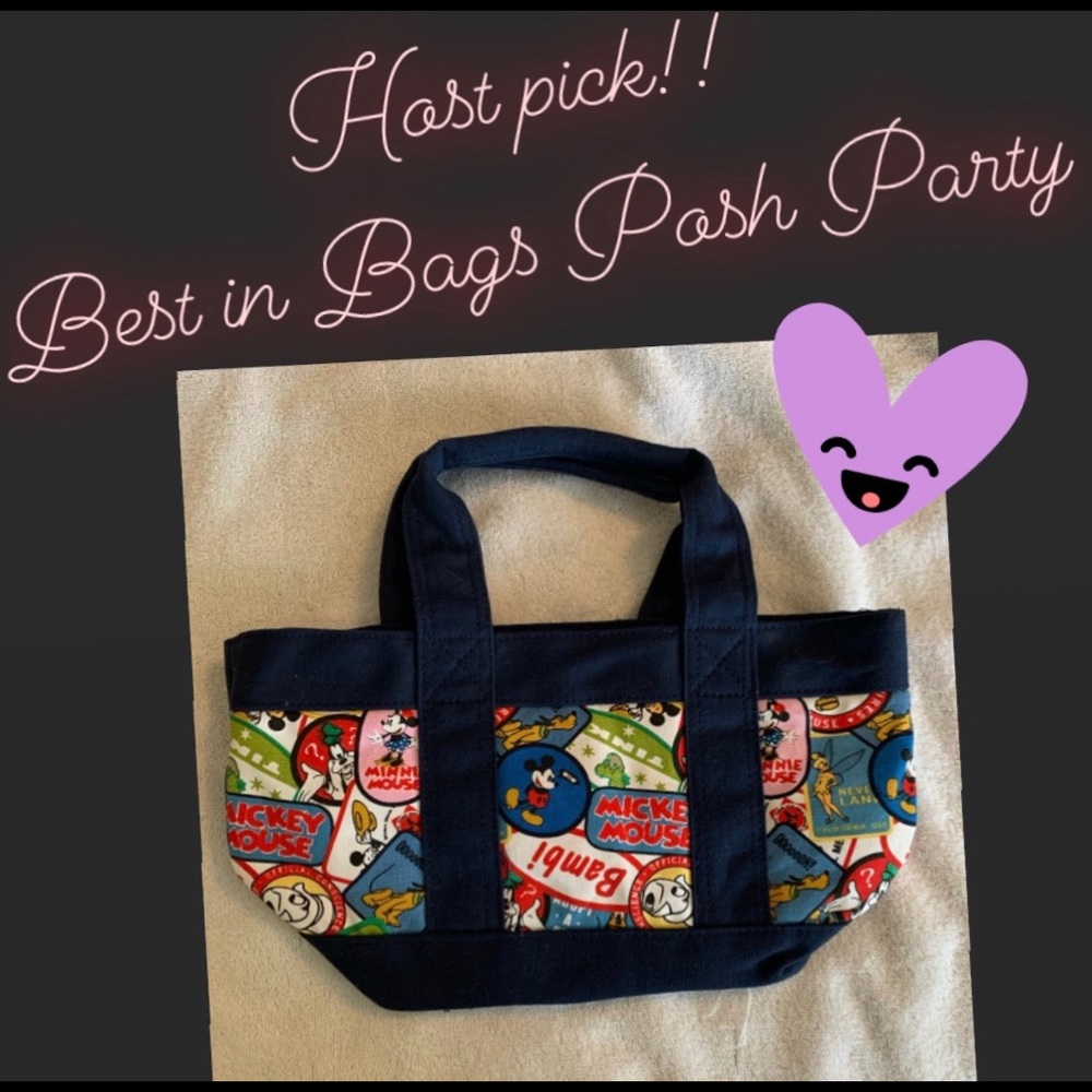 Disney NWOT small bag, cute Disney characters